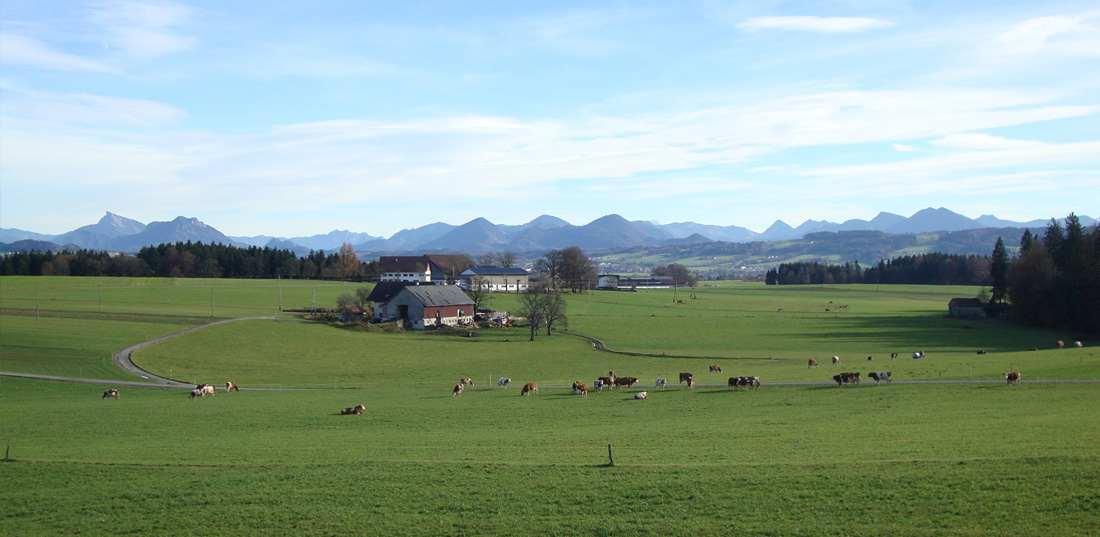 Bauernhofferien Oberdürnberg für Kinder im Salzburger Seenland